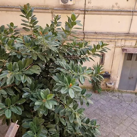 住宿加早餐酒店 那不勒斯站住宿加早餐旅馆 那不勒斯