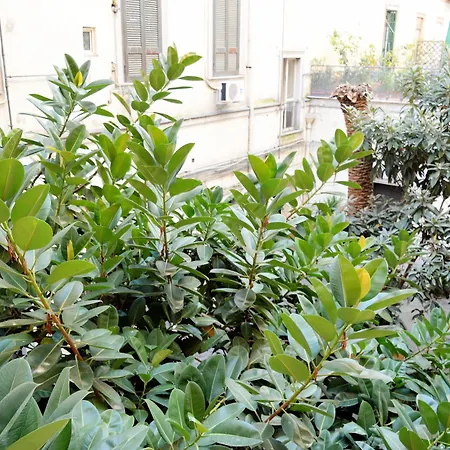 那不勒斯站住宿加早餐旅馆 3* 那不勒斯