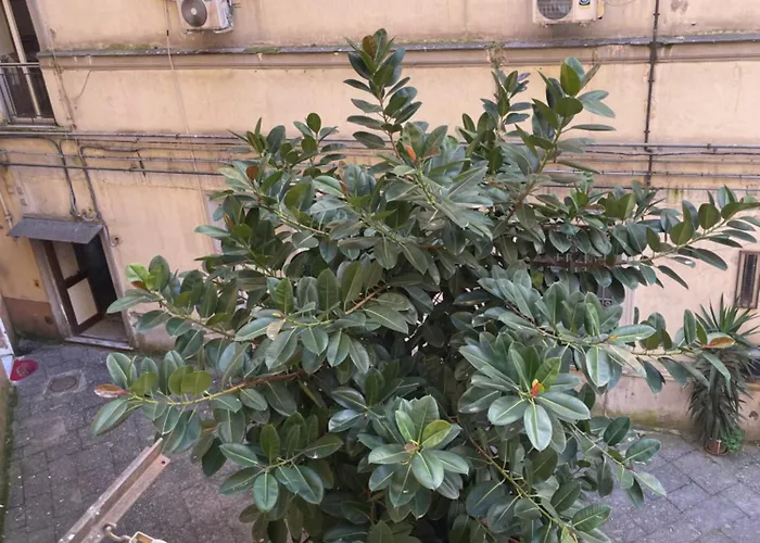 那不勒斯站住宿加早餐旅馆 3*