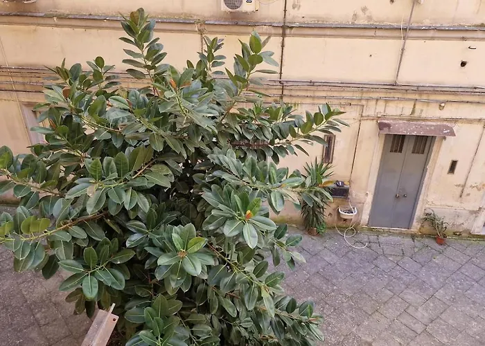 住宿加早餐酒店 那不勒斯站住宿加早餐旅馆 那不勒斯